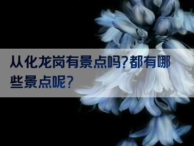 从化龙岗有景点吗？都有哪些景点呢？