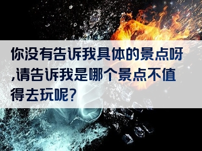 你没有告诉我具体的景点呀，请告诉我是哪个景点不值得去玩呢？