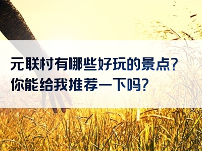 元联村有哪些好玩的景点？你能给我推荐一下吗？