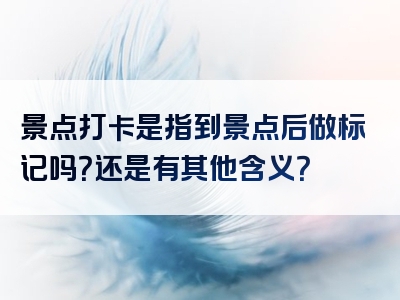 景点打卡是指到景点后做标记吗？还是有其他含义？