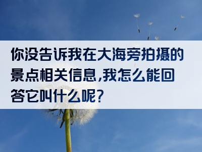 你没告诉我在大海旁拍摄的景点相关信息，我怎么能回答它叫什么呢？