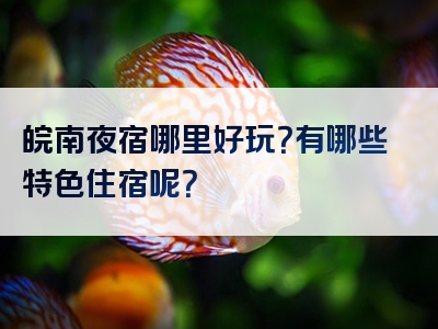 皖南夜宿哪里好玩？有哪些特色住宿呢？