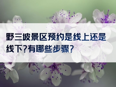 野三坡景区预约是线上还是线下？有哪些步骤？