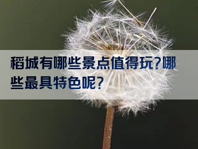 稻城有哪些景点值得玩？哪些最具特色呢？