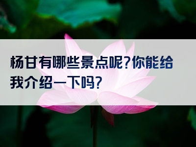 杨甘有哪些景点呢？你能给我介绍一下吗？