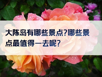 大陈岛有哪些景点？哪些景点最值得一去呢？