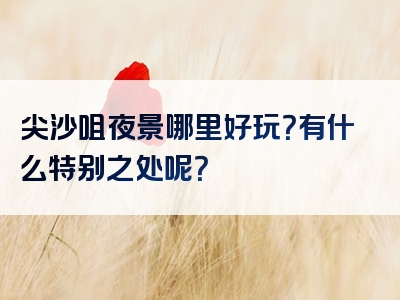 尖沙咀夜景哪里好玩？有什么特别之处呢？