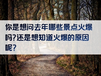 你是想问去年哪些景点火爆吗？还是想知道火爆的原因呢？