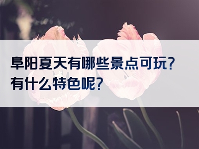 阜阳夏天有哪些景点可玩？有什么特色呢？