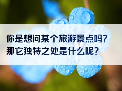 你是想问某个旅游景点吗？那它独特之处是什么呢？