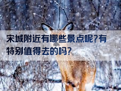 宋城附近有哪些景点呢？有特别值得去的吗？