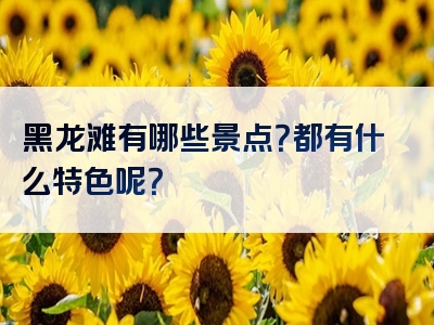 黑龙滩有哪些景点？都有什么特色呢？