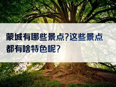 蒙城有哪些景点？这些景点都有啥特色呢？