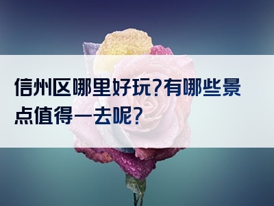 信州区哪里好玩？有哪些景点值得一去呢？