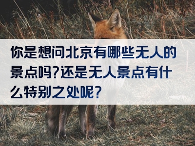 你是想问北京有哪些无人的景点吗？还是无人景点有什么特别之处呢？