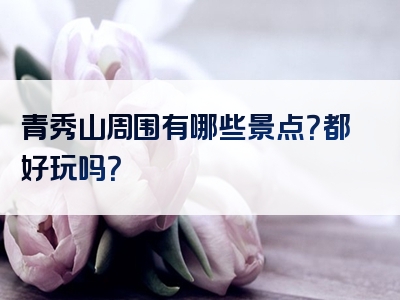 青秀山周围有哪些景点？都好玩吗？