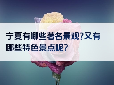 宁夏有哪些著名景观？又有哪些特色景点呢？
