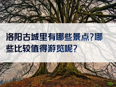 洛阳古城里有哪些景点？哪些比较值得游览呢？