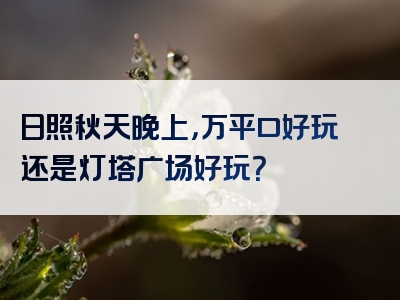 日照秋天晚上，万平口好玩还是灯塔广场好玩？