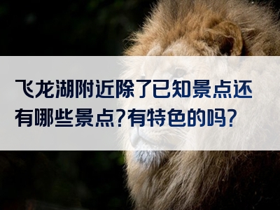 飞龙湖附近除了已知景点还有哪些景点？有特色的吗？