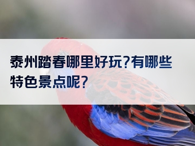 泰州踏春哪里好玩？有哪些特色景点呢？