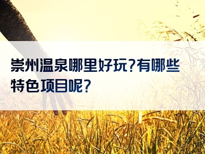 崇州温泉哪里好玩？有哪些特色项目呢？