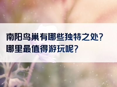 南阳鸟巢有哪些独特之处？哪里最值得游玩呢？