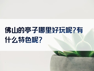 佛山的亭子哪里好玩呢？有什么特色呢？