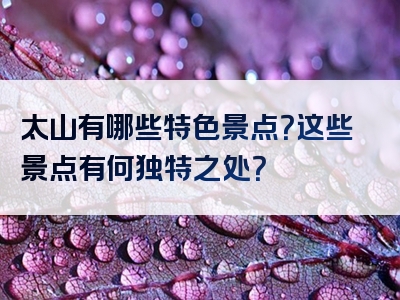 太山有哪些特色景点？这些景点有何独特之处？