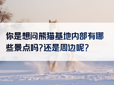 你是想问熊猫基地内部有哪些景点吗？还是周边呢？