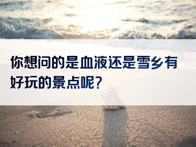 你想问的是血液还是雪乡有好玩的景点呢？